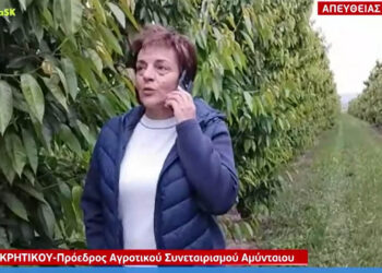 Στο MEGA η πρόεδρος του Αγροτικού Συλλόγου Αμυνταίου Δ. Κρητικού για την ακαρπία των κερασιών (Βίντεο)