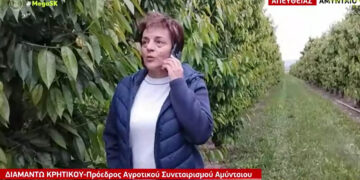 Στο MEGA η πρόεδρος του Αγροτικού Συλλόγου Αμυνταίου Δ. Κρητικού για την ακαρπία των κερασιών (Βίντεο)
