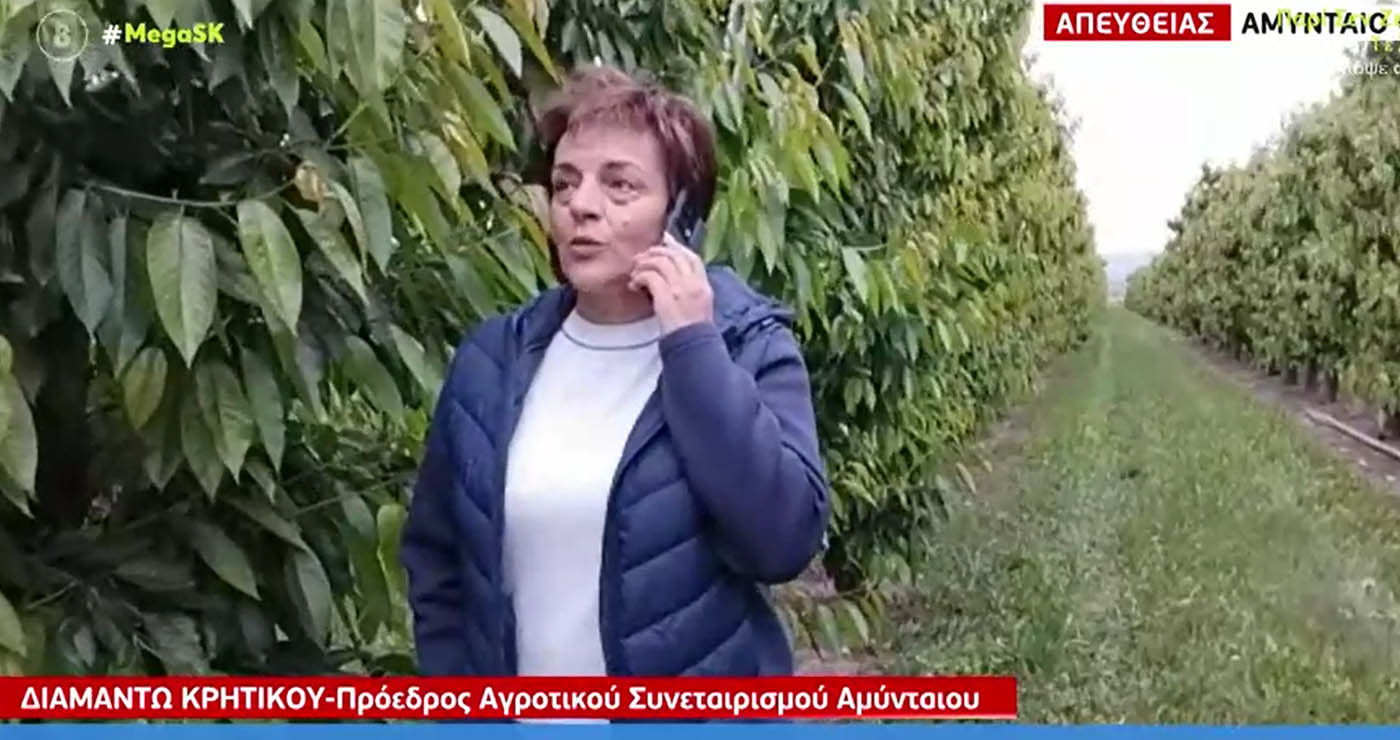 Στο MEGA η πρόεδρος του Αγροτικού Συλλόγου Αμυνταίου Δ. Κρητικού για την ακαρπία των κερασιών (Βίντεο)