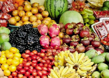 Νέα λαϊκή αγορά στα Αλωνάκια Κοζάνης: Πνοή για 11 τοπικές κοινότητες στα Καραγιάννια