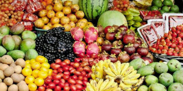 Νέα λαϊκή αγορά στα Αλωνάκια Κοζάνης: Πνοή για 11 τοπικές κοινότητες στα Καραγιάννια