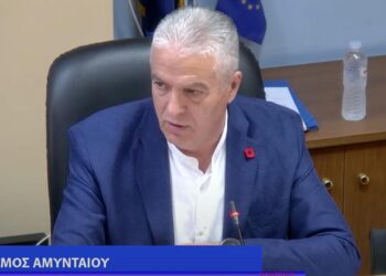 Αμύνταιο: Εγκρίνεται η κατασκευή Μουσικού Σχολείου