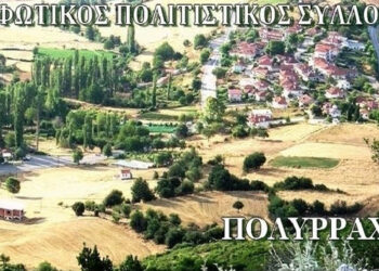 Νέο Δ.Σ. για τον Μορφωτικό Πολιτιστικό Σύλλογο Πολυρράχου – Πρόεδρος ο Κ. Μουσαφειρόπουλος