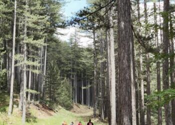 Πεζοπορικό μονοπάτι 200χλμ. στη Δυτική Μακεδονία- Η Μεγάλη Διαδρομή «Γράμμος- Πρέσπα» με οικολογική και ιστορική αξία