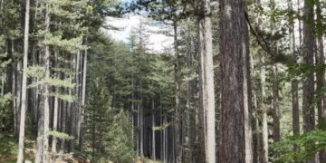 Πεζοπορικό μονοπάτι 200χλμ. στη Δυτική Μακεδονία- Η Μεγάλη Διαδρομή «Γράμμος- Πρέσπα» με οικολογική και ιστορική αξία