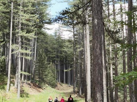 Πεζοπορικό μονοπάτι 200χλμ. στη Δυτική Μακεδονία- Η Μεγάλη Διαδρομή «Γράμμος- Πρέσπα» με οικολογική και ιστορική αξία