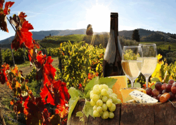 Οινικό Συνέδριο με τίτλο «Τα Οινοπέδια των Λιμνών: Οίνος – Τόπος – Άνθρωποι» στο Αμύνταιο από τις 27 έως τις 29 Ιουνίου