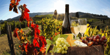 Οινικό Συνέδριο με τίτλο «Τα Οινοπέδια των Λιμνών: Οίνος – Τόπος – Άνθρωποι» στο Αμύνταιο από τις 27 έως τις 29 Ιουνίου