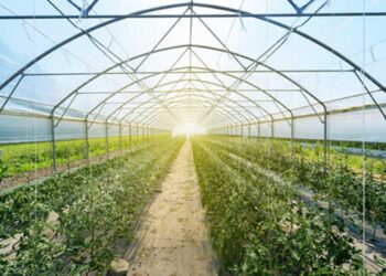 Ξεκινά το πρόγραμμα ενίσχυσης θερμοκηπιακών καλλιεργειών – 6 εκ. ευρώ για τη Δ. Μακεδονία