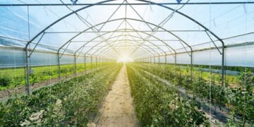 Ξεκινά το πρόγραμμα ενίσχυσης θερμοκηπιακών καλλιεργειών – 6 εκ. ευρώ για τη Δ. Μακεδονία