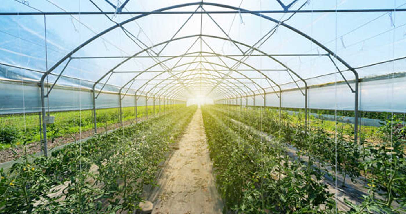 Ξεκινά το πρόγραμμα ενίσχυσης θερμοκηπιακών καλλιεργειών – 6 εκ. ευρώ για τη Δ. Μακεδονία