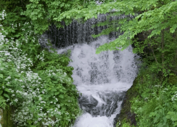 Ειδυλλιακό τοπίο η περιοχή “Κολύμπι” στο Εμπόριο Εορδαίας (Βίντεο του Digital Creations)
