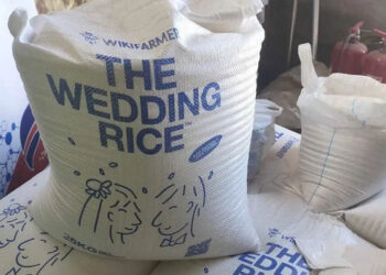 Νέο wedding trend στη Θεσσαλονίκη: Παραγωγοί διαθέτουν ρύζι… αποκλειστικά για γάμους