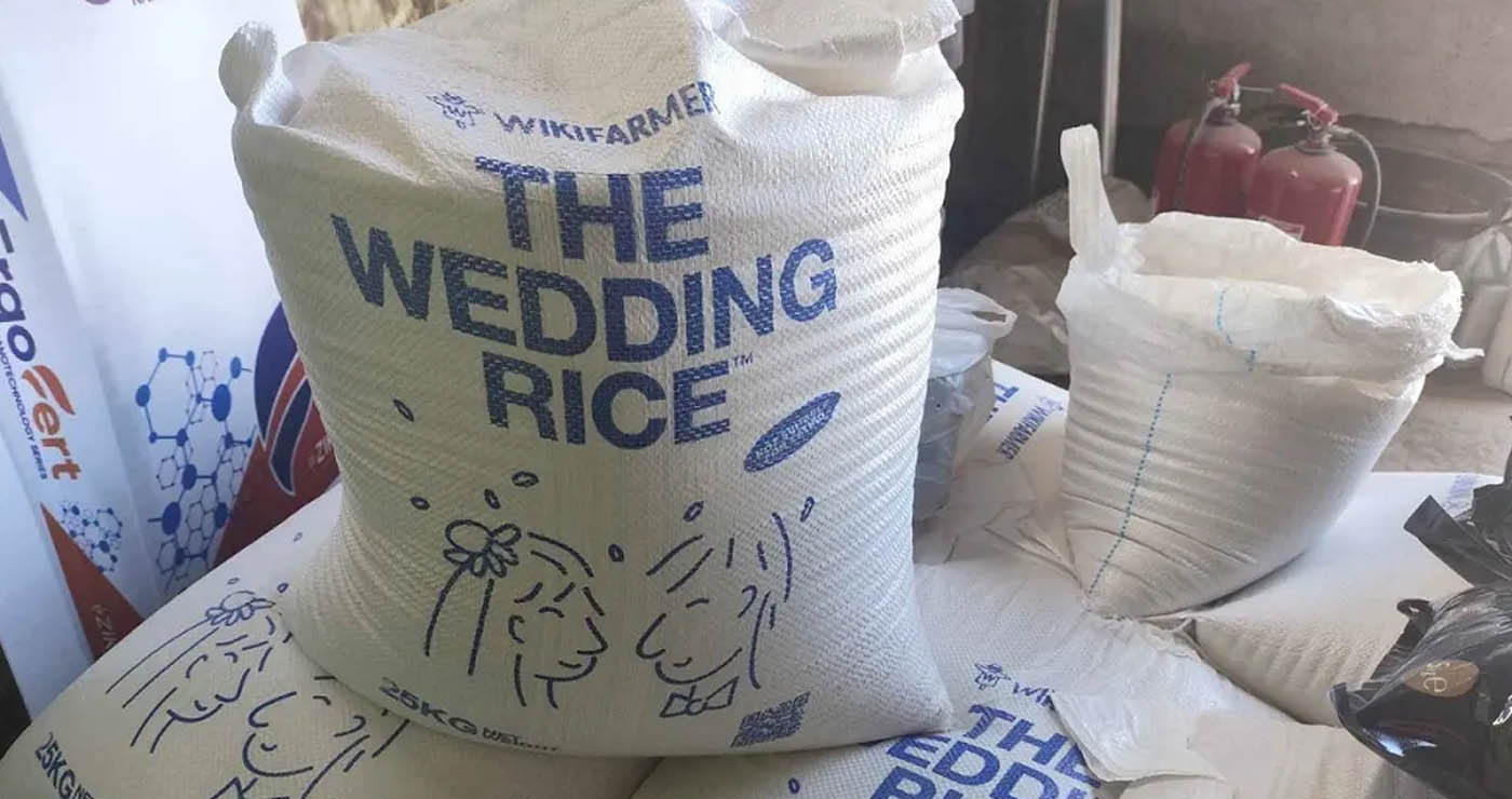 Νέο wedding trend στη Θεσσαλονίκη: Παραγωγοί διαθέτουν ρύζι… αποκλειστικά για γάμους