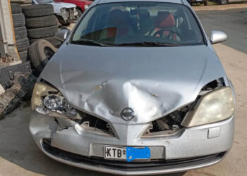 Τροχαίο με αρκούδα στην Καστοριά (φωτο)