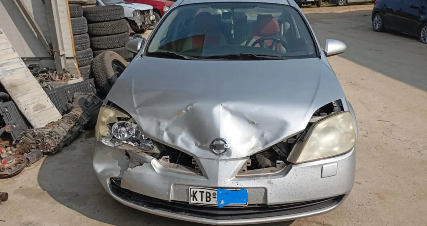 Τροχαίο με αρκούδα στην Καστοριά (φωτο)