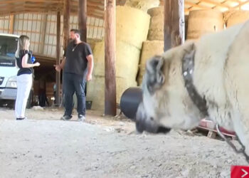 Σε κατάσταση έκτακτης ανάγκης η Θεσσαλία