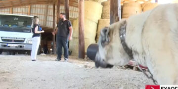 Σε κατάσταση έκτακτης ανάγκης η Θεσσαλία