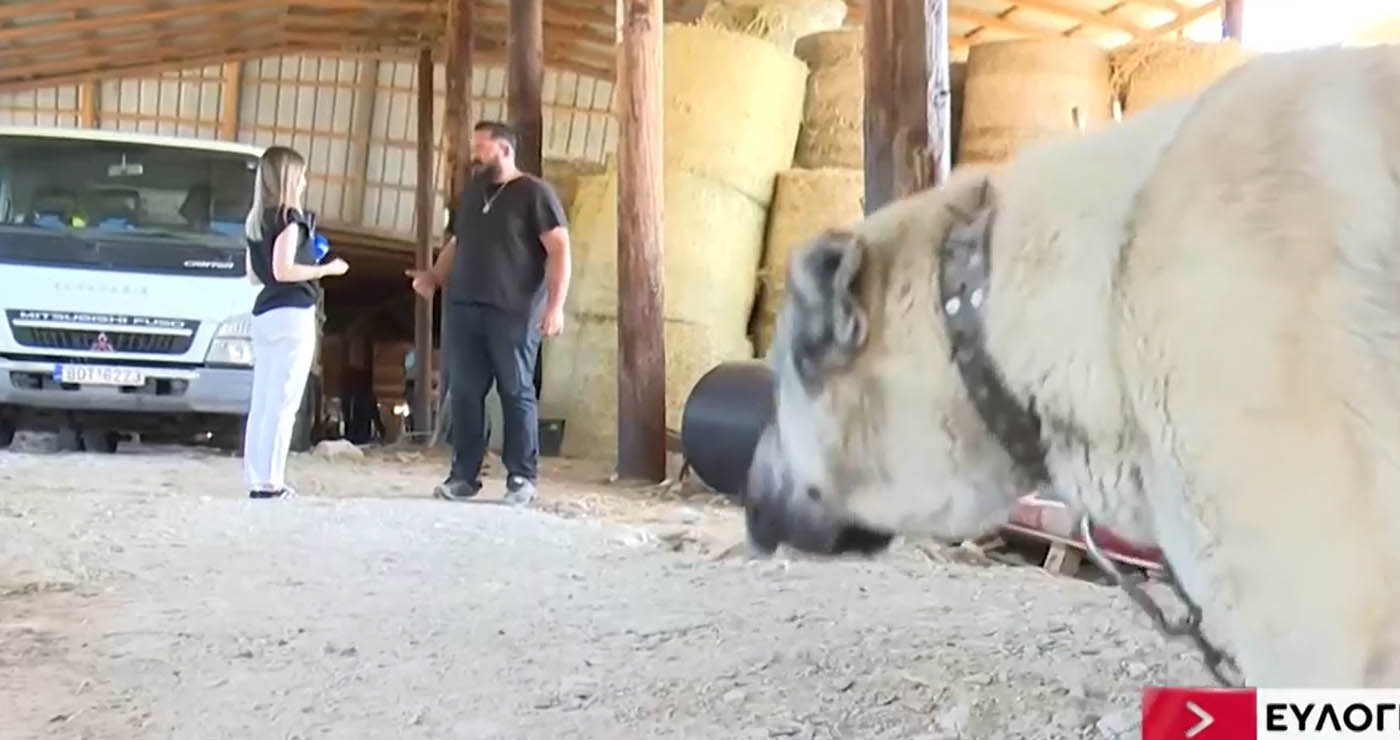 Σε κατάσταση έκτακτης ανάγκης η Θεσσαλία