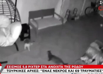 Τουρκία: Βίντεο από τη στιγμή του σεισμού ανοιχτά της Ρόδου