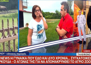 Στο MEGA η υπόθεση με την αρκούδα στην αυλή γυναίκας στην Καστοριά (Βίντεο)