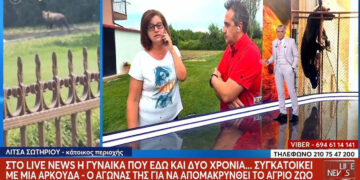 Στο MEGA η υπόθεση με την αρκούδα στην αυλή γυναίκας στην Καστοριά (Βίντεο)