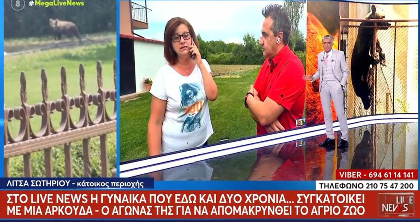 Στο MEGA η υπόθεση με την αρκούδα στην αυλή γυναίκας στην Καστοριά (Βίντεο)