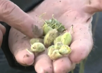 Kακοκαιρία εξπρές: Άνοιξαν οι ουρανοί και σε περιοχές της Δυτικής Μακεδονίας – Μεγάλες οι καταστροφές (Βίντεο)