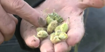 Kακοκαιρία εξπρές: Άνοιξαν οι ουρανοί και σε περιοχές της Δυτικής Μακεδονίας – Μεγάλες οι καταστροφές (Βίντεο)