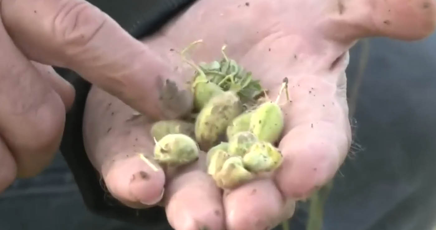 Kακοκαιρία εξπρές: Άνοιξαν οι ουρανοί και σε περιοχές της Δυτικής Μακεδονίας – Μεγάλες οι καταστροφές (Βίντεο)