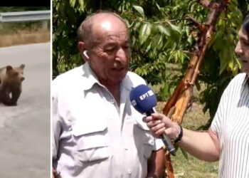 Αρκούδα σήκωσε τρακτέρ στον αέρα και προκάλεσε ζημιές σε κερασιές στο Μεσόβουνο Εορδαίας (Βίντεο)