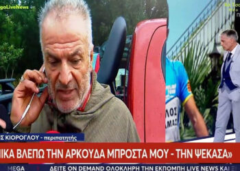 Αυτόπτης μάρτυρας της επίθεσης της αρκούδας στον 61χρονο: Αφού τον έσπρωξε έχω απώλεια μνήμης, δεν θυμάμαι τι συνέβη (Βίντεο)