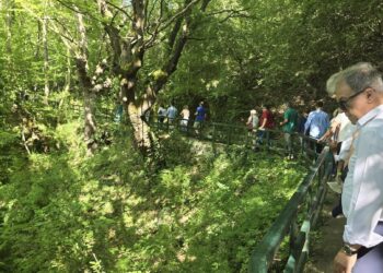 «Ανερχόμενη δυναμική δραστηριότητα ο οινικός τουρισμός»
