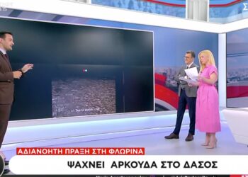 Άνδρας κυνηγάει αρκούδα στο δάσος της Φλώρινας και κάνει live στο TikTok! (video)