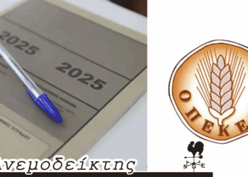 ΟΠΕΚΕΠΕ: Θα χαθεί κι αυτή η ευκαιρία για το πολιτικό μας σύστημα; – Μακάρι να πιάσει τόπο ο κόπος των παιδιών – Ο Ανεμοδείκτης σχολιάζει (28/6)