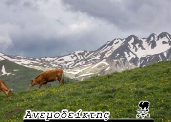 ΟΠΕΚΕΠΕ: Δήλωναν βοσκοτόπια και στη Βόρεια Μακεδονία! – Από τον ΑΝΕΜΟΔΕΙΚΤΗ (27/6)