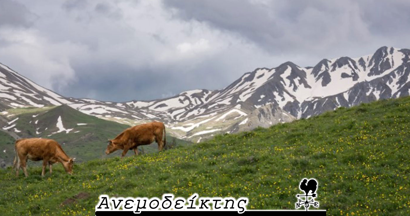 ΟΠΕΚΕΠΕ: Δήλωναν βοσκοτόπια και στη Βόρεια Μακεδονία! – Από τον ΑΝΕΜΟΔΕΙΚΤΗ (27/6)