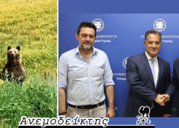 Τι θέλει να πει η στάση του σώματος; – Όπου κι αν κοιτάξουμε θα δούμε, πλέον, μια αρκούδα; – Ο Ανεμοδείκτης σχολιάζει (11/6)