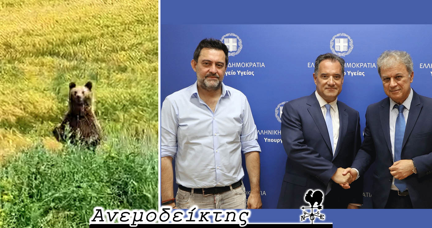 Τι θέλει να πει η στάση του σώματος; – Όπου κι αν κοιτάξουμε θα δούμε, πλέον, μια αρκούδα; – Ο Ανεμοδείκτης σχολιάζει (11/6)