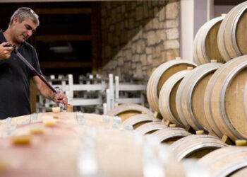 Ο Στέλιος Μπουτάρης νέος Πρόεδρος του Συνδέσμου Ελληνικού Οίνου –  Συγχαρητήριο Μήνυμα του Επιμελητηρίου Φλώρινας