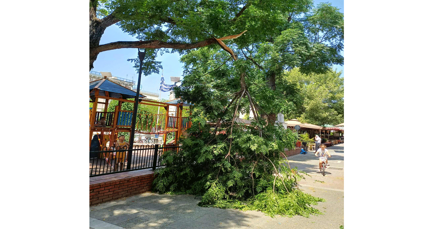 Κλαδί δέντρου έσπασε από τον αέρα και έπεσε δίπλα στην παιδική χαρά στην Πλατεία Πτολεμαΐδας (Βίντεο)