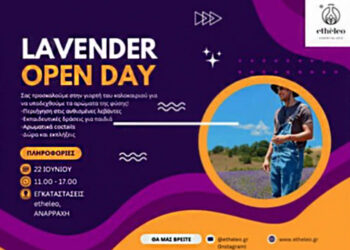 Lavender Open Day από την ETHELEO: Γιορτή Καλοκαιριού στις ανθισμένες λεβάντες