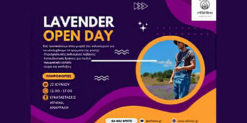 Lavender Open Day από την ETHELEO: Γιορτή Καλοκαιριού στις ανθισμένες λεβάντες