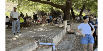 Δράσεις για μικρούς και μεγάλους στο Forestival 2025 (Φωτογραφίες)