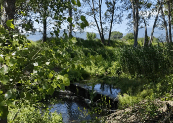 Το Κανάλι Πτολεμαΐδας αναδεικνύει η Digital Creations με ένα εντυπωσιακό mini ντοκιμαντέρ (Βίντεο)