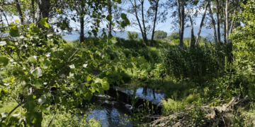 Το Κανάλι Πτολεμαΐδας αναδεικνύει η Digital Creations με ένα εντυπωσιακό mini ντοκιμαντέρ (Βίντεο)