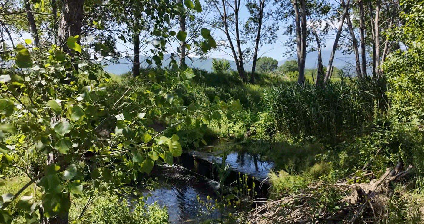 Το Κανάλι Πτολεμαΐδας αναδεικνύει η Digital Creations με ένα εντυπωσιακό mini ντοκιμαντέρ (Βίντεο)