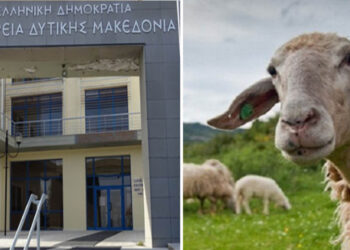 Κρούσματα καταρροϊκού πυρετού σε κτηνοτροφικές μονάδες στην ΠΕ Καστοριάς