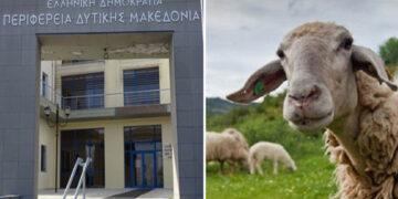 Κρούσματα καταρροϊκού πυρετού σε κτηνοτροφικές μονάδες στην ΠΕ Καστοριάς