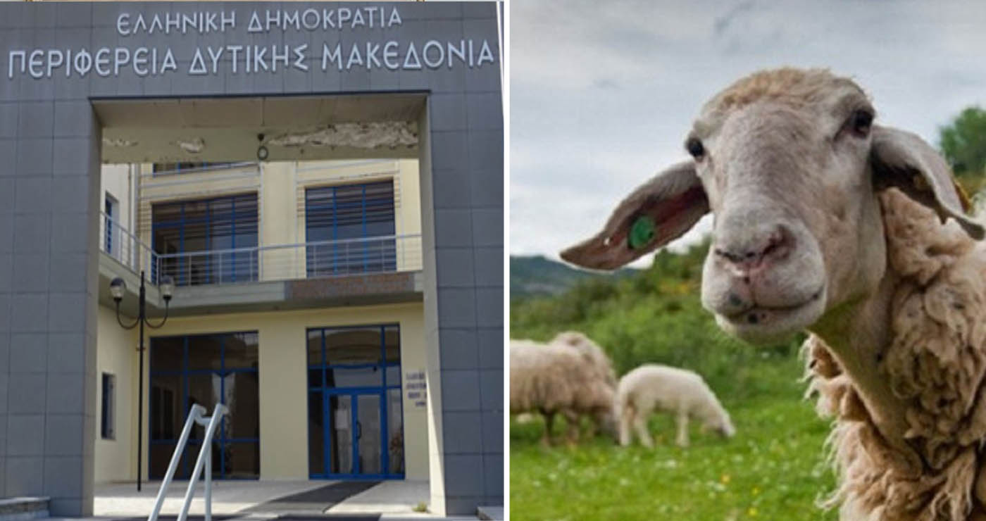 Κρούσματα καταρροϊκού πυρετού σε κτηνοτροφικές μονάδες στην ΠΕ Καστοριάς